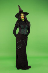 Elphaba 1737419254 Wicked Witch