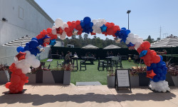 35ft Balloon Arch