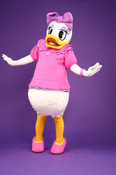 IMG 1191 1760126115 Girl Duck Mascot