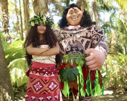 Maui & Moana Duo