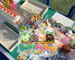 Build-A-Bug Craft Station