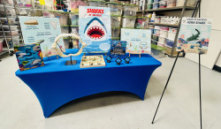 IMG 4605 1785971968 Shark Tooth Adventure Craft Table