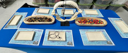 Shark Tooth Adventure Craft Table