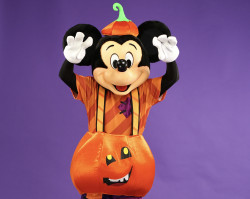 Pumpkin Mouse Mascot & Assistant