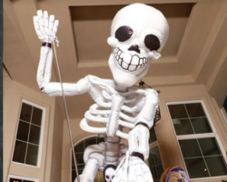 Giant Skeleton 12ft